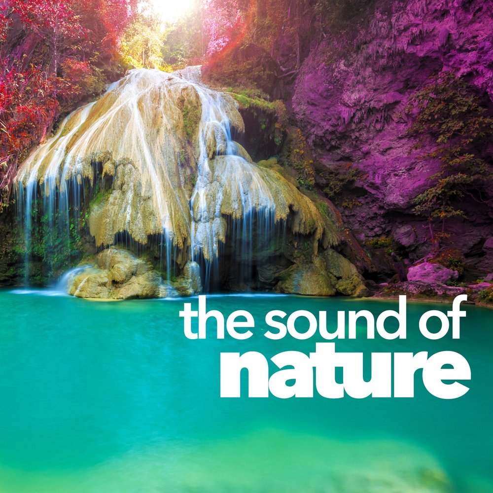 Natural Sounds. Call of nature. Nature collection