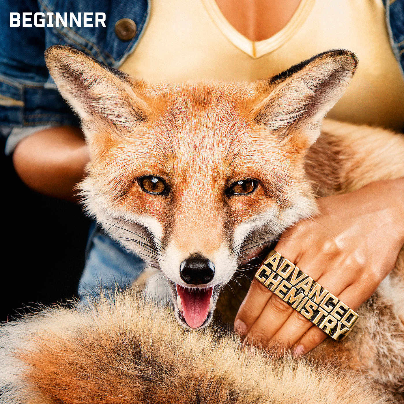 Фотография Beginner