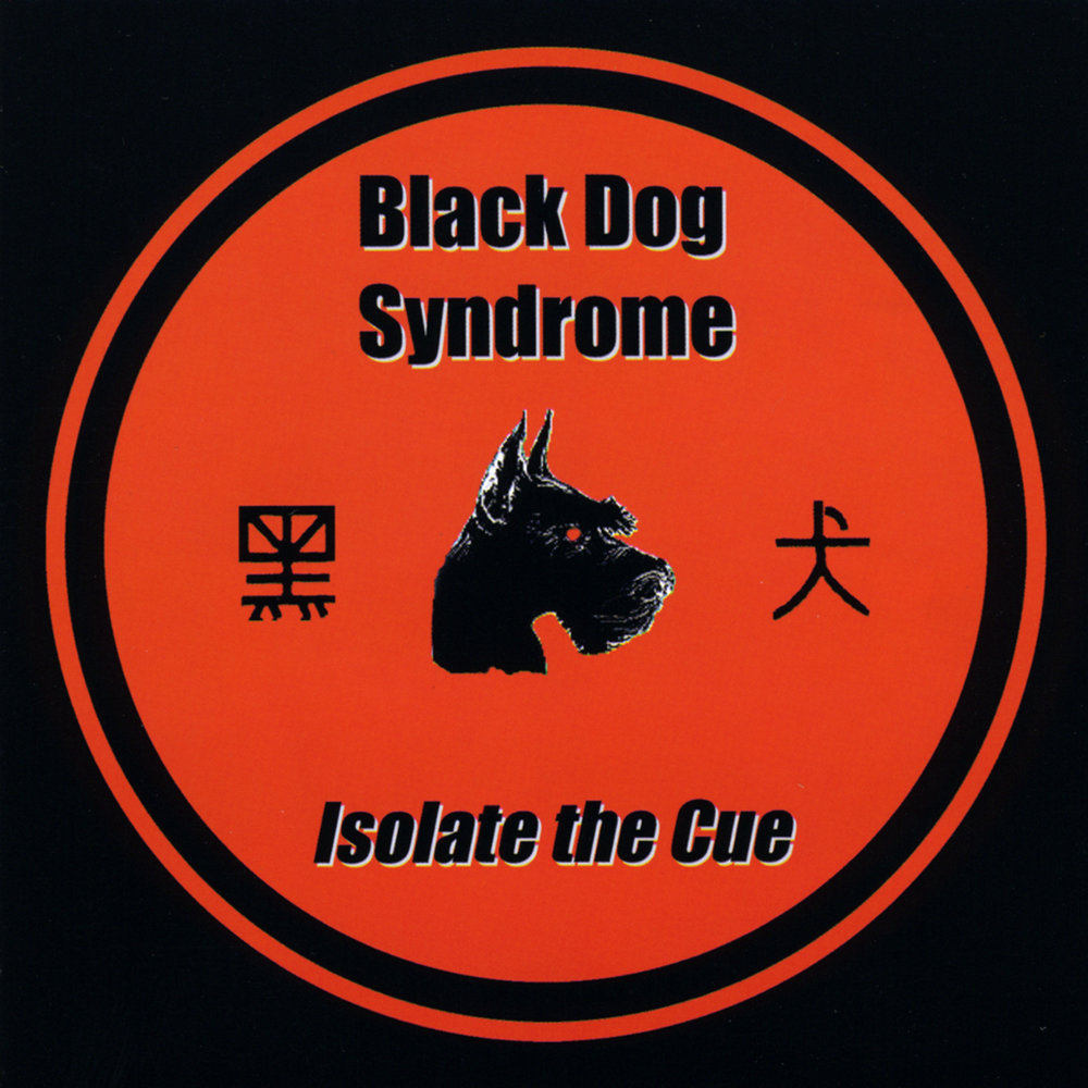 Black dog перевод на русский. Блюз черной собаки. Группа Блэк дог. Black Dog певец. Чёрная собака песня.