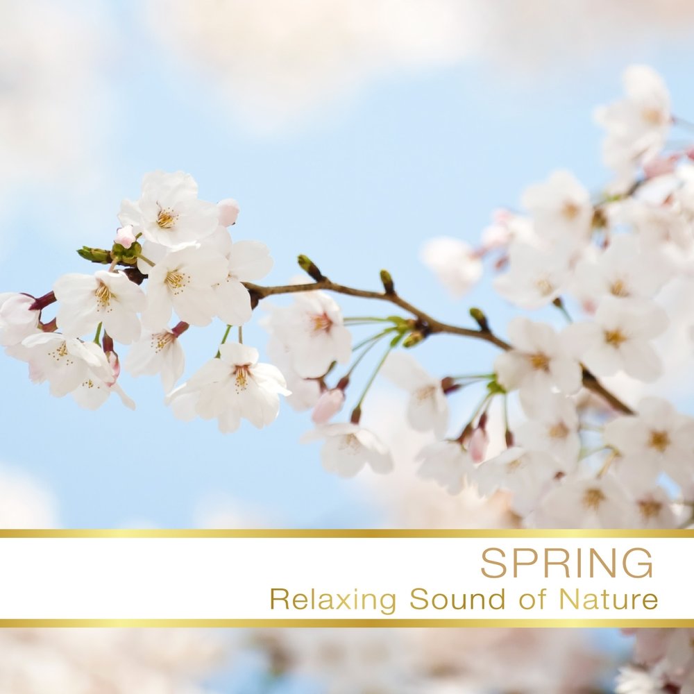 Spring relax. Spring relax