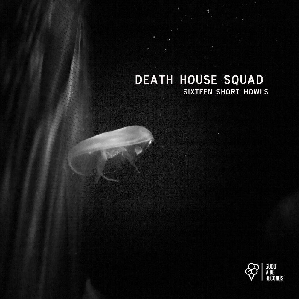 Croatia squad frey white horse. Sixteen сквад. Howling (short 2020). Love Tonight feat. Sakso Antwerp House Squad, Sakso.