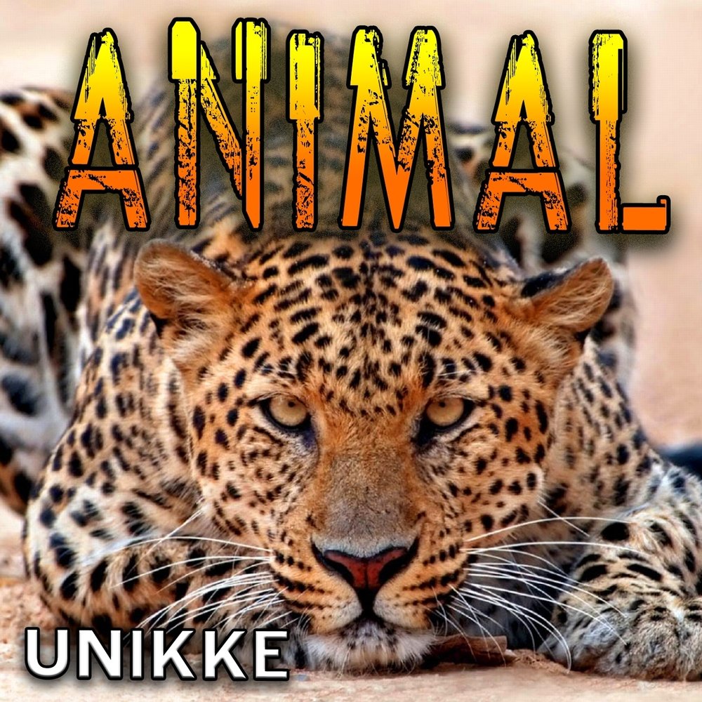 Animals dj. The animals альбомы. Альбом с животными. Animals слушать. Лучшие ремиксы animals.