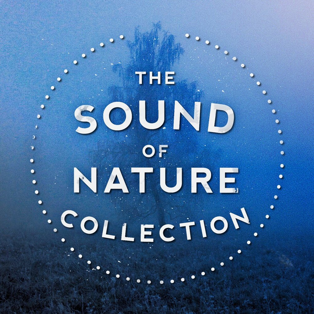 Sounds. Nature collection