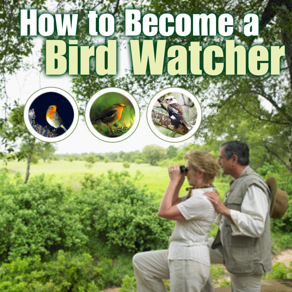 Bird Watcher. Bird Watcher информация. Bird Watcher опасный или нет. Birdwatcher logo.