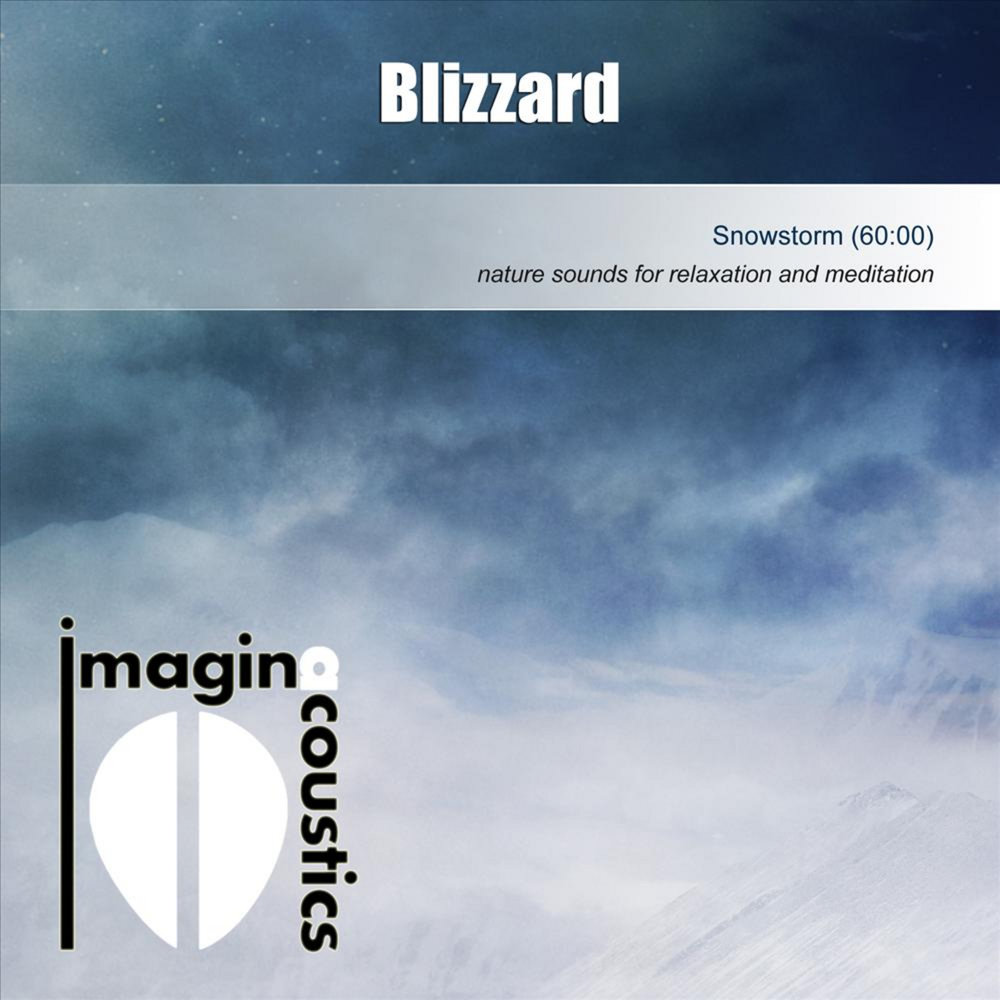 Метель слушать аудиокнигу. Blizzard Music. Blizzard песня обложка. Blizzard слушать песни. Песня Blizzard without you.