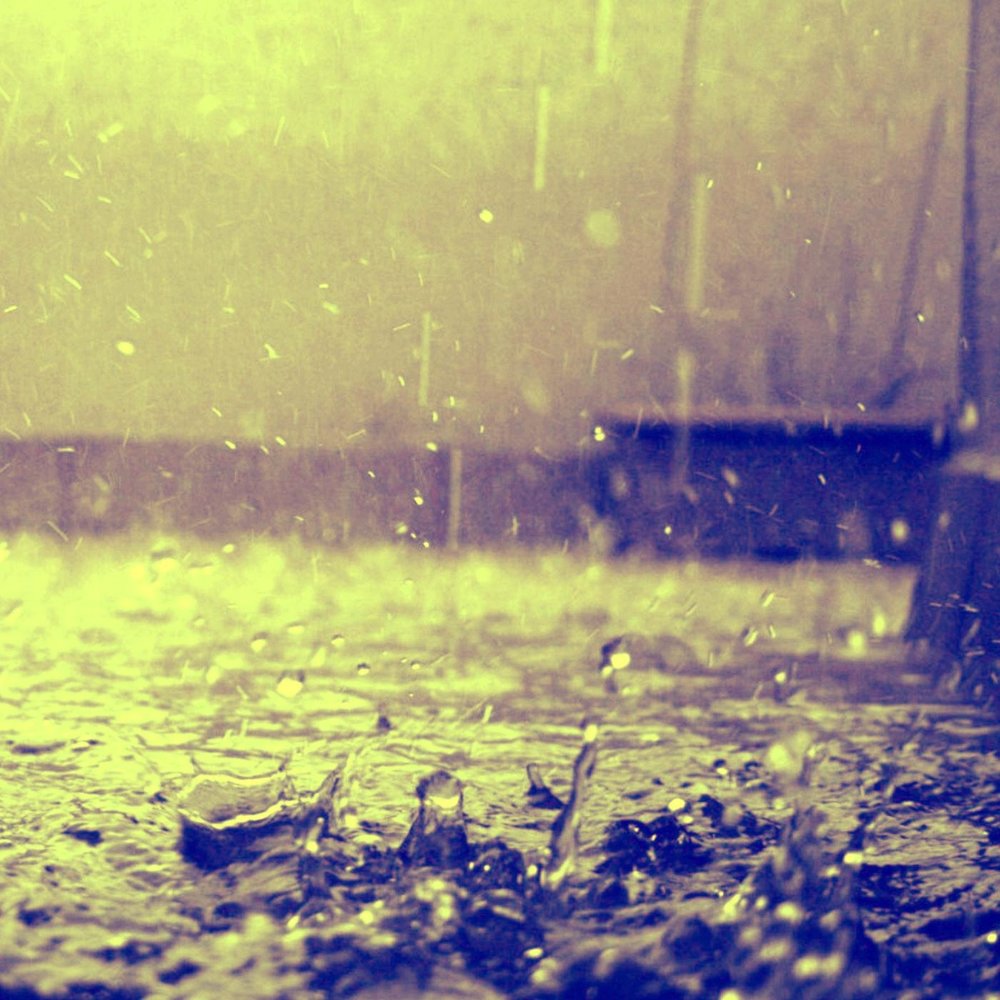 Rain вики. Фон дождь. Осень дождь на черном фоне. Картинки успокаивающие дождь осень. Обои на телефон с дождём и котиком.