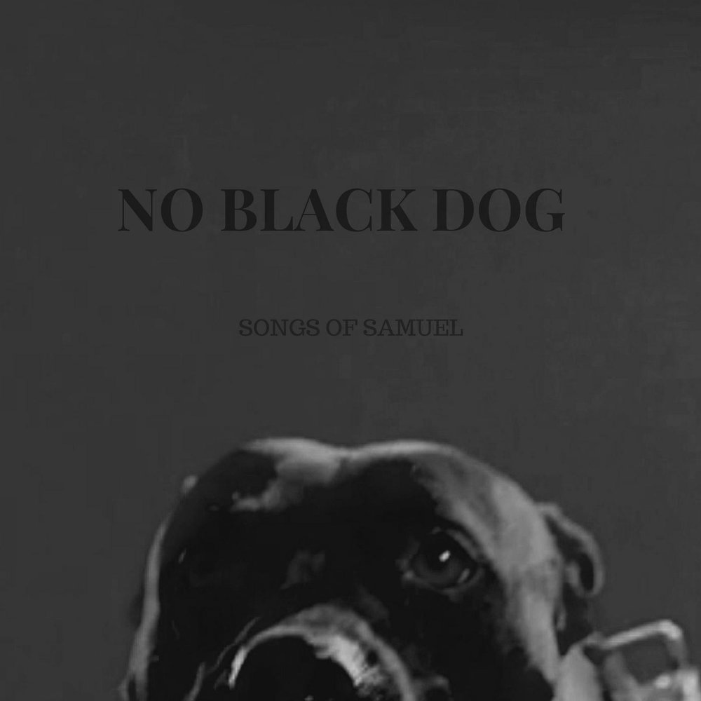 Черная собака песня. Чёрная собака песня. Black Dog текст. Песня Dogs.