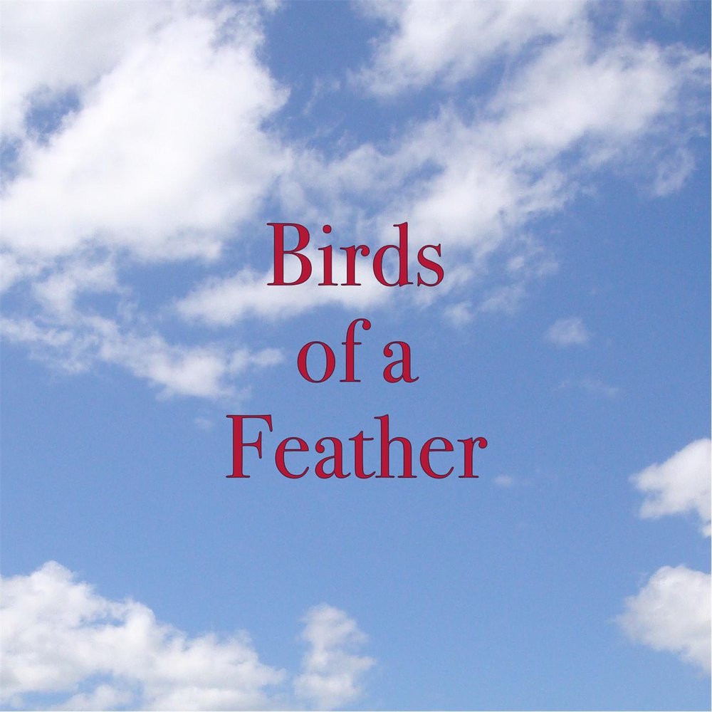 Birds of a feather текст перевод