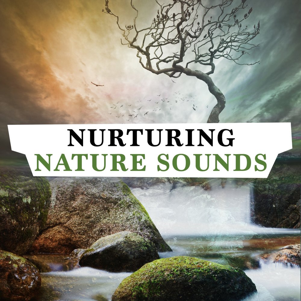 Nature songs. Nurture the nature.