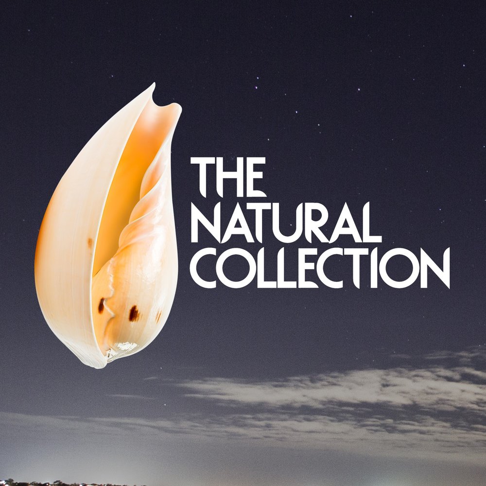 Sounds of nature. Natural Sounds. Naturals collection. Nature collection
