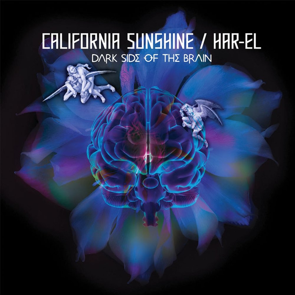 Dark sunshine. California Sunshine. Psy Goa Trance album 2008 2009 Brain on a. AG Dark Sunshine.