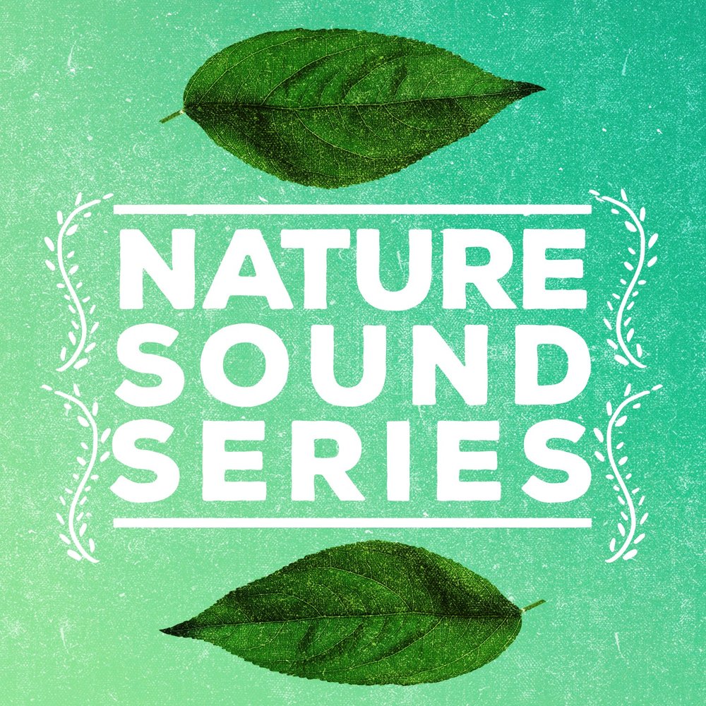 Natures series. Sounds of nature.