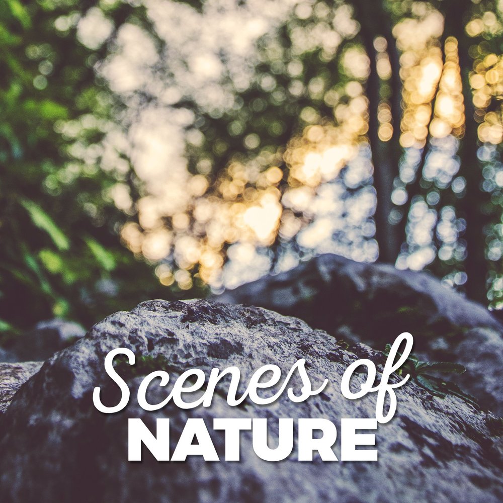"Nature Sounds" && ( исполнитель | группа | музыка | Music | Band | artist ) && (фото | photo). Life is a nature