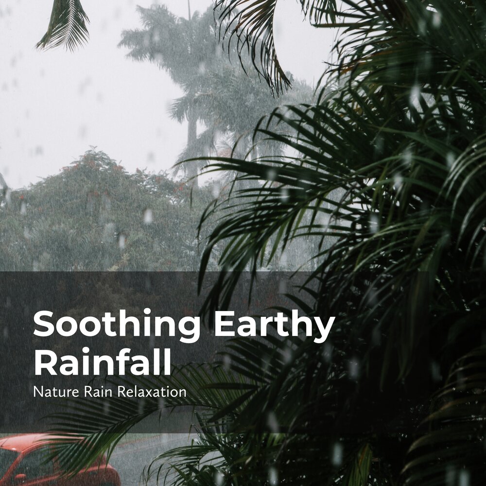 It rain rain rained last week. Rain Earth. Райский дождь. Columbia nature Rain. Rain nature 9x16.