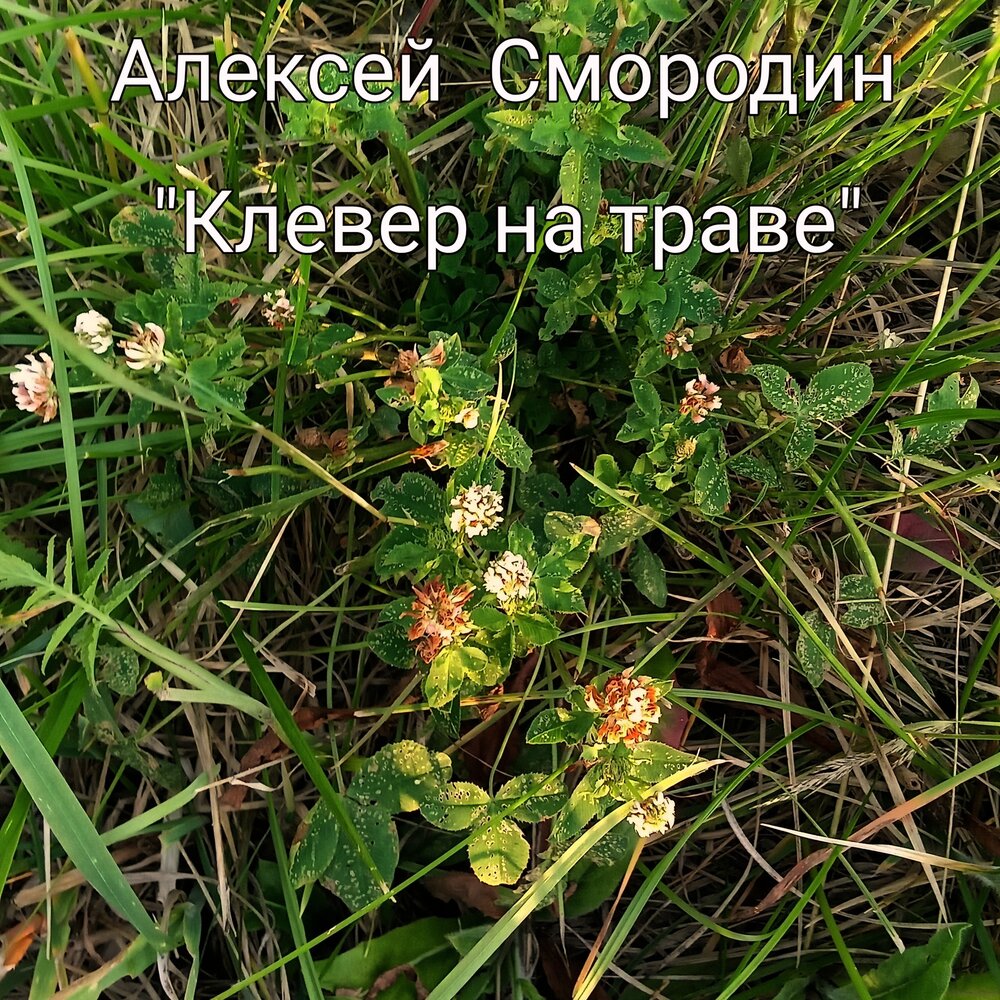Голоса травы слушать