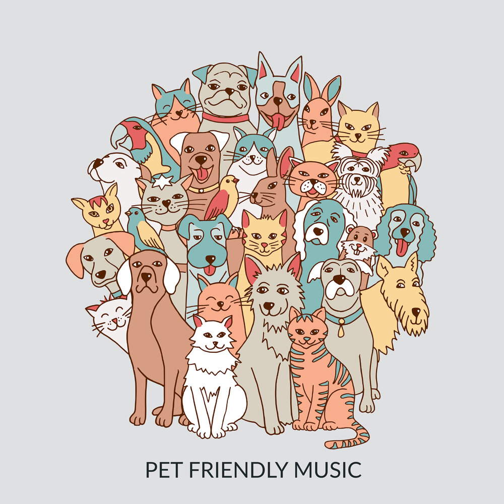 Pet Calm. Music pets
