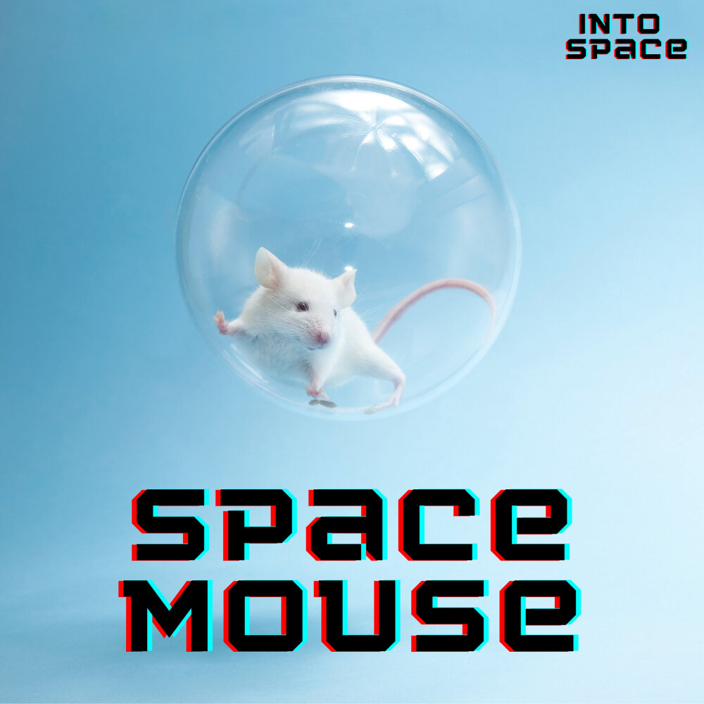 Deep mouse. Спейс Маус. Майс Спейс. Mice in Space.