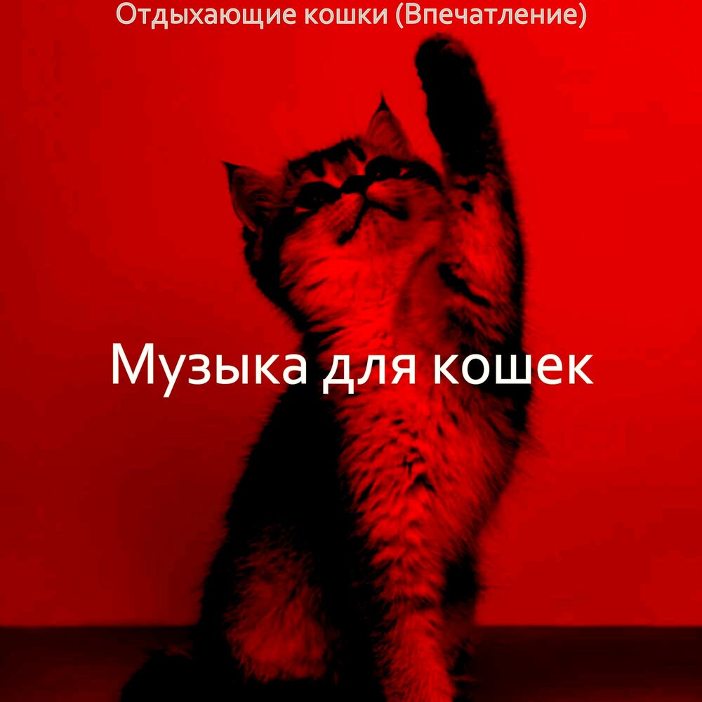 Музыка для кошек слушать