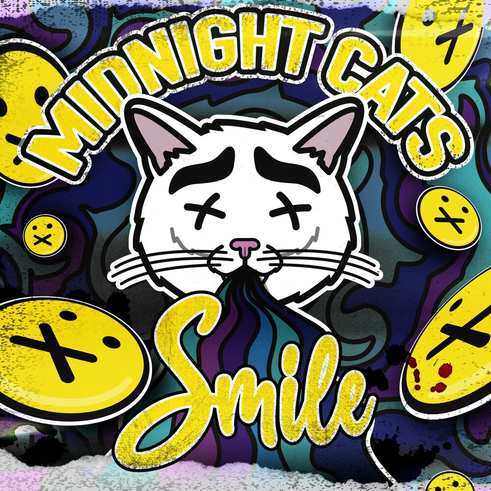 Midnight cat. Миднайт Кэт. Midnight Cat записи. Midnight-Cat Bonga. Записи приватов Midnight-Cat.