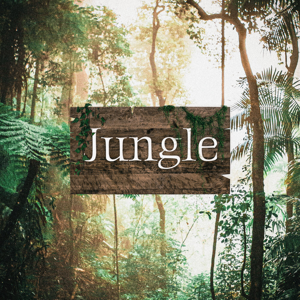 Jungle слушать. Jungle песня.