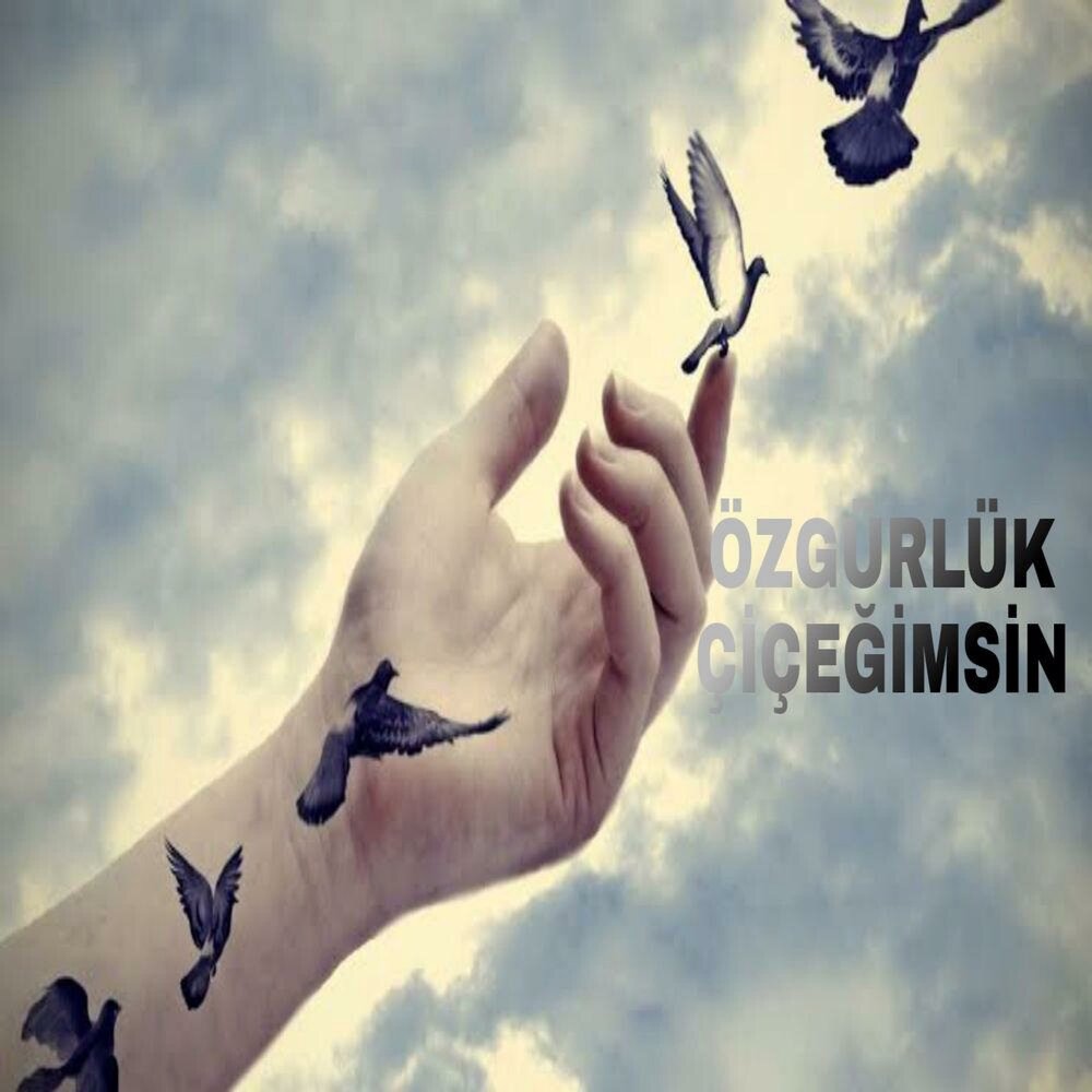 Девушка птица в небе. Я птицу в небо отпускаю. Я птицу в небо отпускаю. Человек отпускает птицу. Девушка и улетающие птицы.