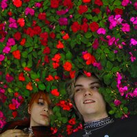 artist-cover