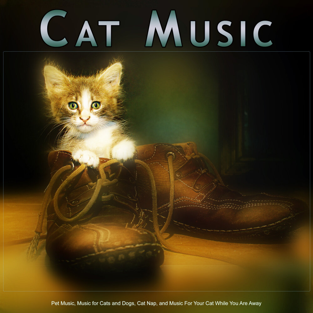 Music for cats