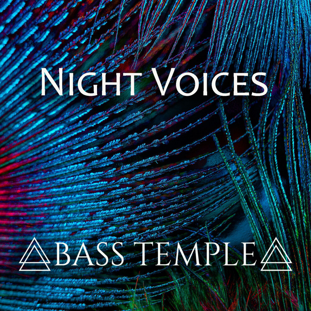 Night voice. Bass Voice.