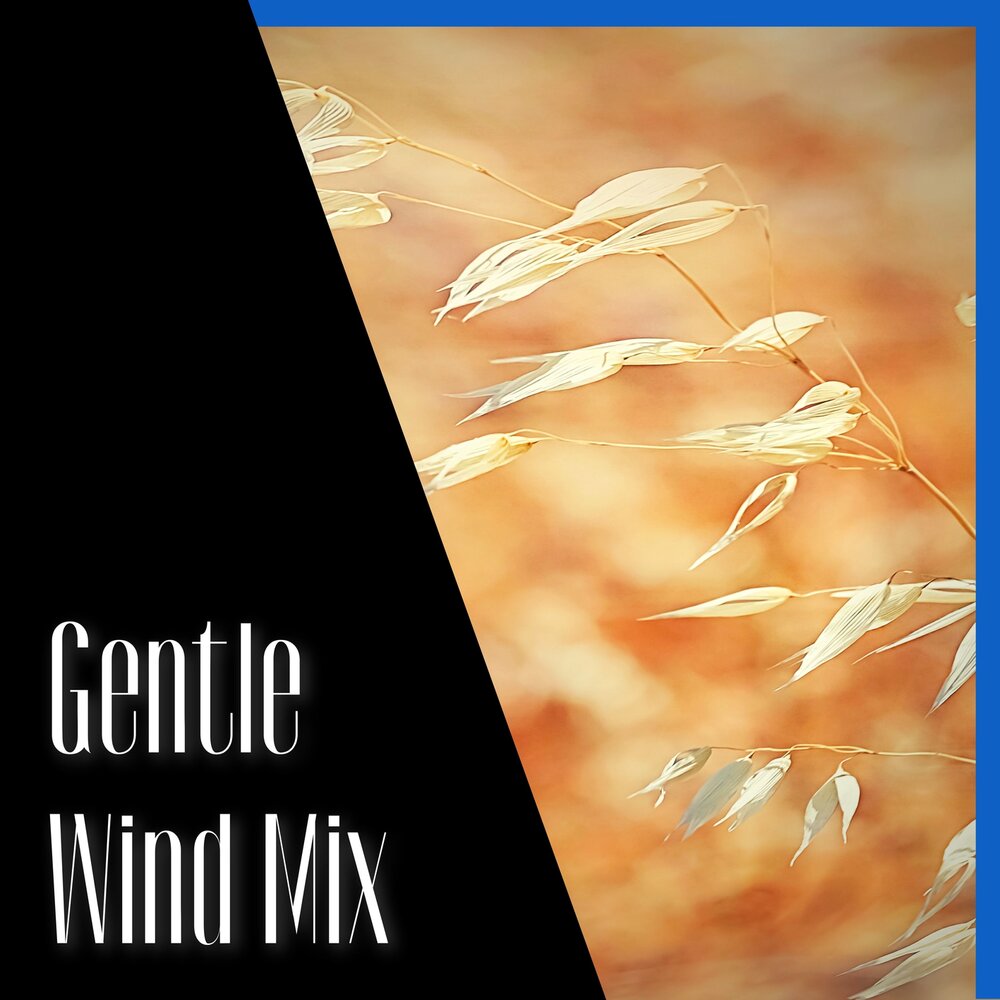 Gentle Winds. Clamor ветер ALCO Acoustic. Breeze Mix.