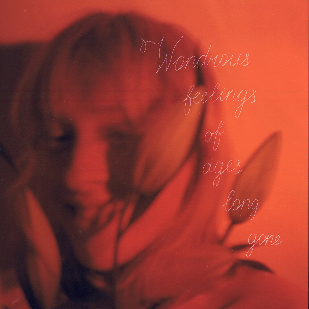 Feel vector. Feel vector. Feels wonder. Alice gas space. Paranoid alice gas.