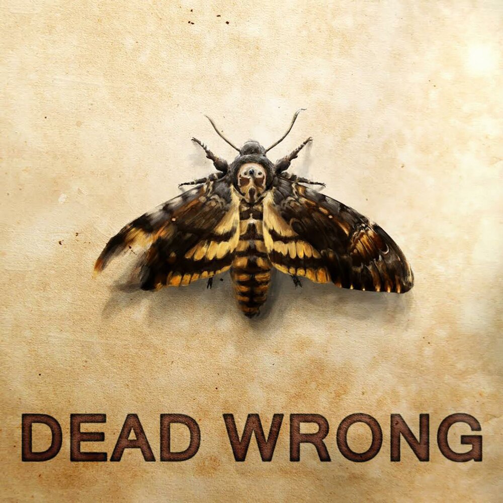 Альбом wrong horohogani. Dead wrong