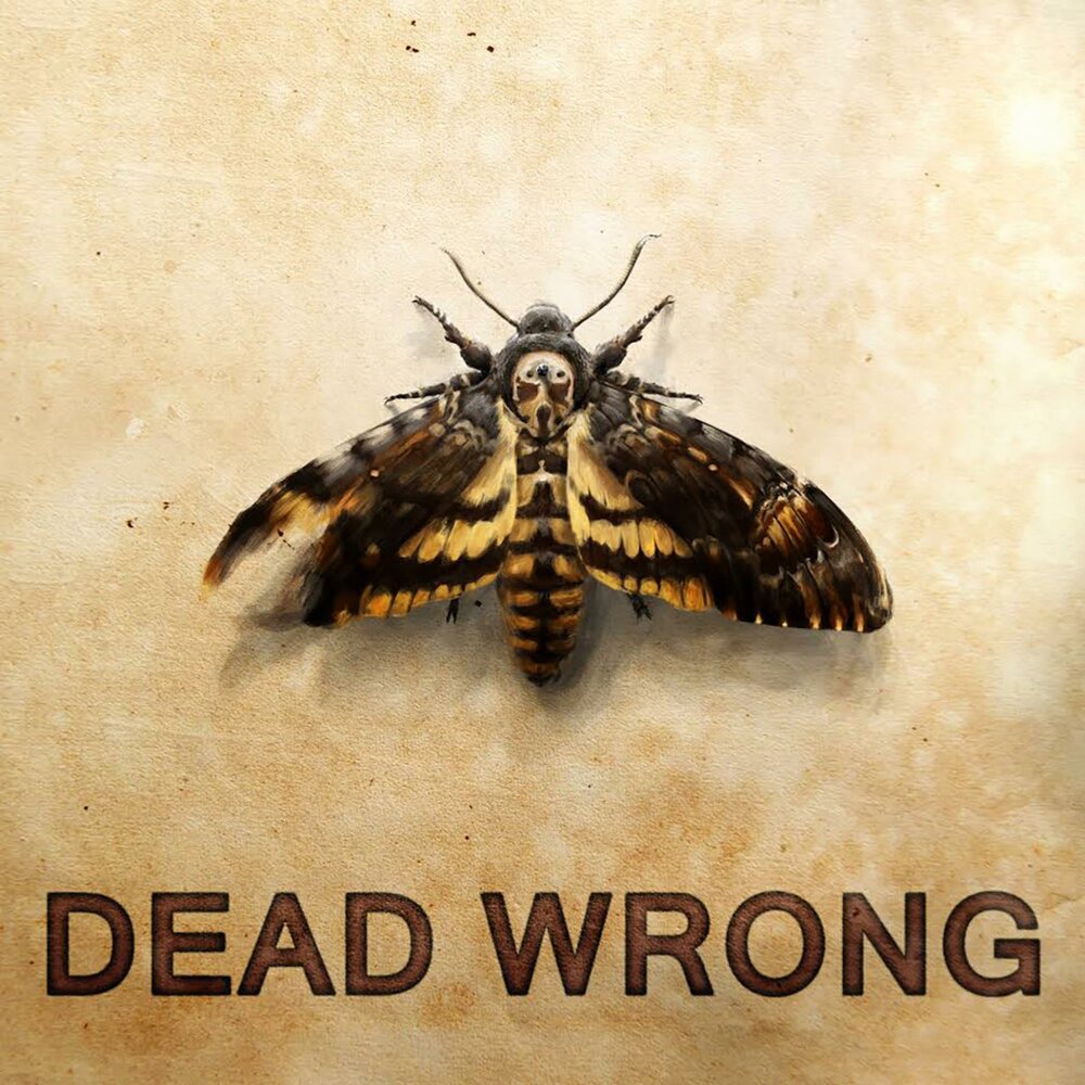 4. Dead wrong. Dead wrong. Слова песни dead wrong. Necronator dead wrong v1.