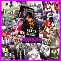 artist-cover