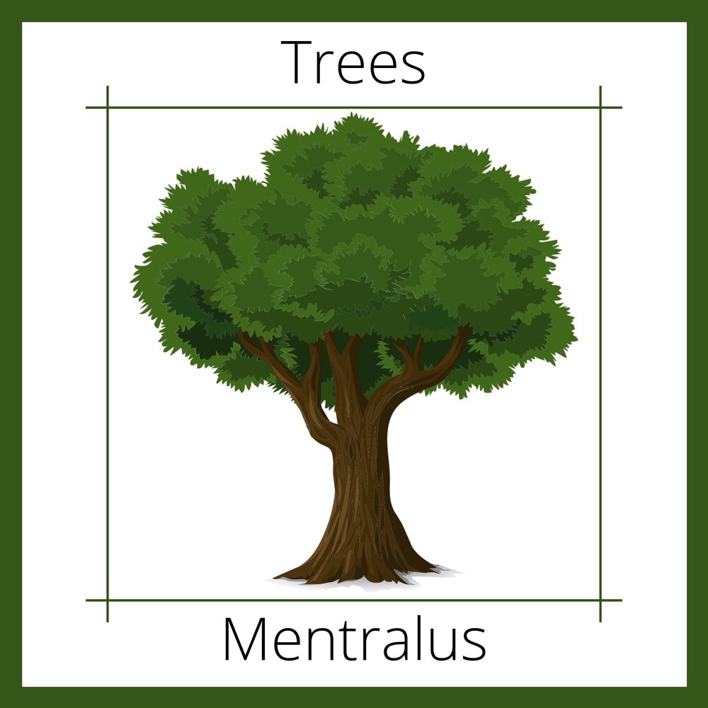 Включи trees. Дуб мультяшный. Нарисовать большое дерево. Дуб картинка мультяшная. Многоквартирный дуб мультяшный.