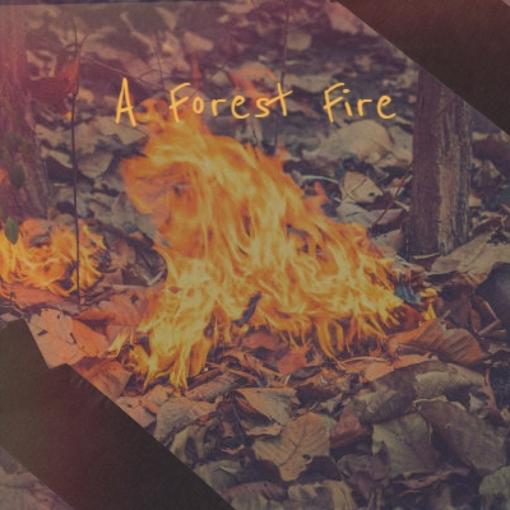 Forest Fires песня. Войны пожары песня