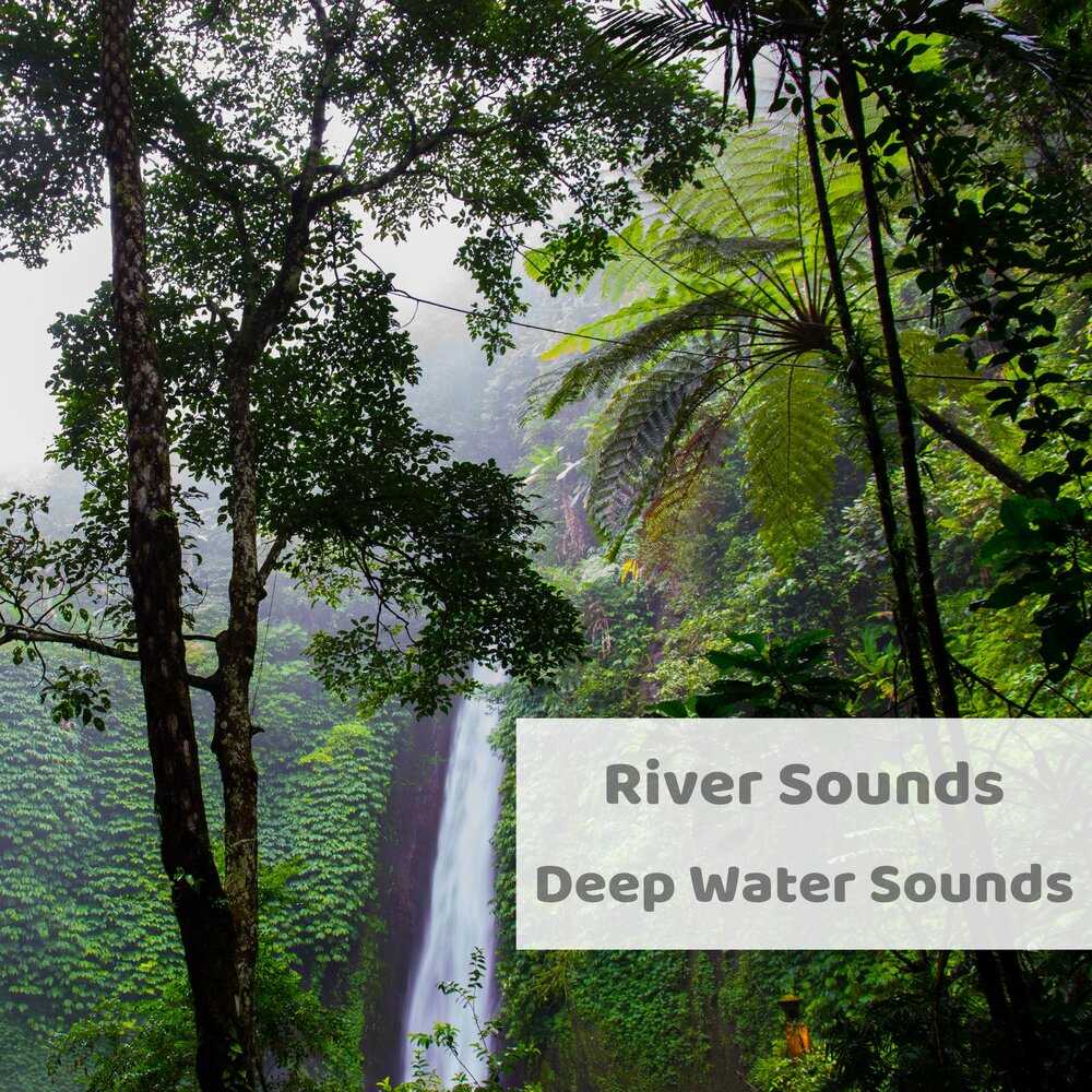 Звук реки слушать. River Sound.