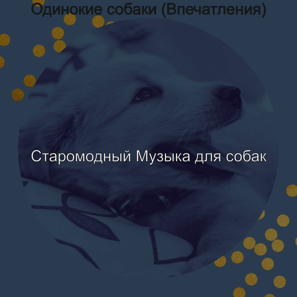 Дай собаки слушать. Щенок был одинок слушать. Одинокая собака песня Школьная.