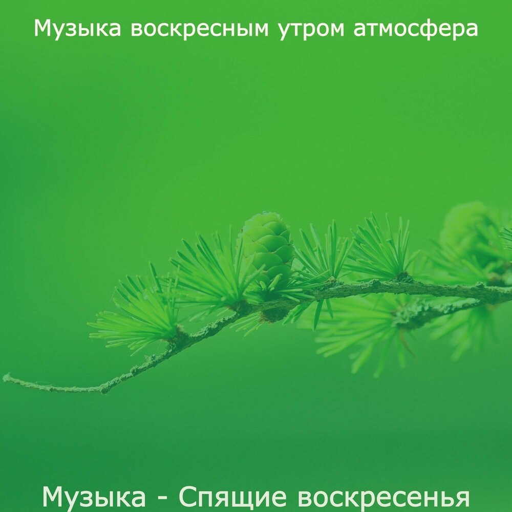 Песня воскресенье радостный день слушать. Песня Воскресное утро. Расслабительного воскресенья. Тихого воскресенья. Воскресенье песня воскресенье трава.