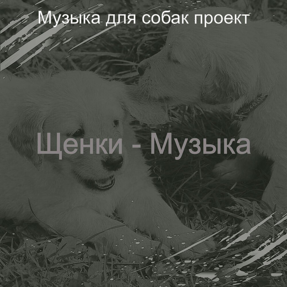 Моя собачка дороже тебя песня 1 час. Моя собачка дороже тебя песня 1 час. Щенки группа альбомы. Песня про собаку. Моя собачка дороже тебя песня 1 час.