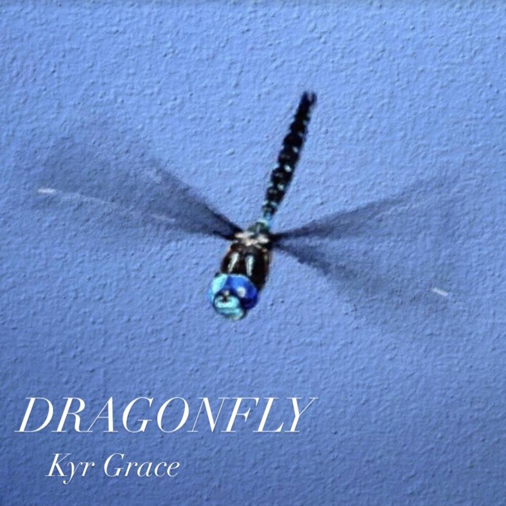 Lionheart the grace of a dragonfly 2024. Dragonfly слушать.