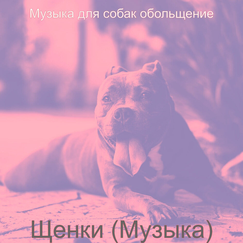 Музыка для собак