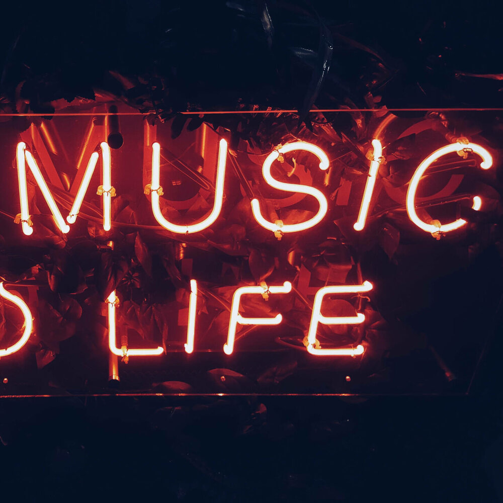 Api music. No Music no Life. No Music no Life картинки.