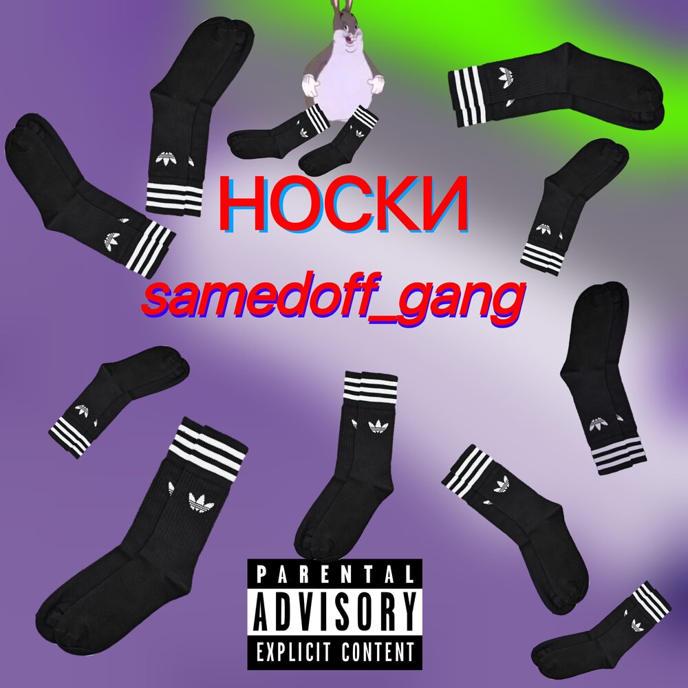 Gang носки. Носков альбомы. Носки музыка. Носки с текстом.