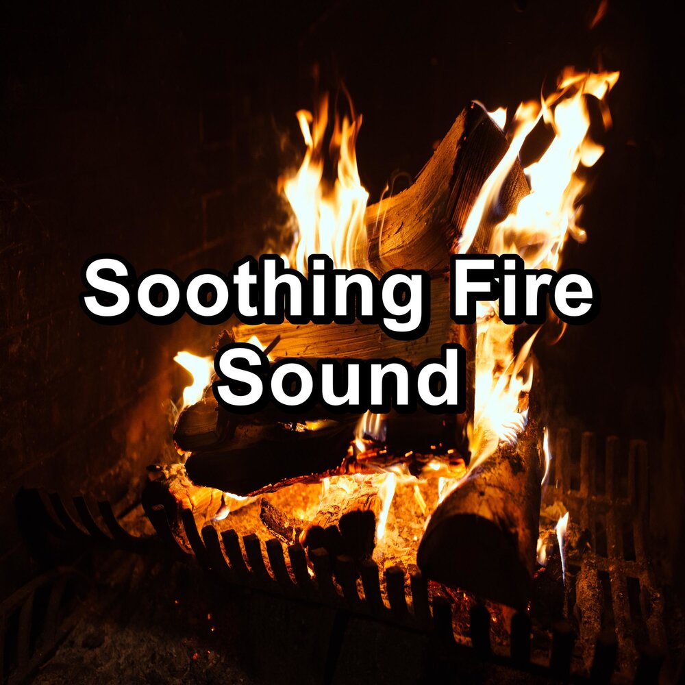 Even fire. Heat-o-later fireplace. Сожженное дерево. Лесные пожары. Even fire.