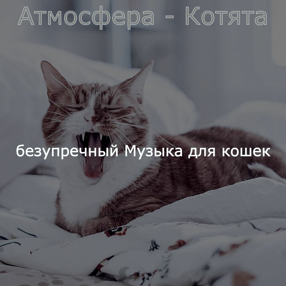 песня хороший кот слушать. музыка для котят. мелодия для кошек. вдохновляющий котик. песня хороший кот слушать.