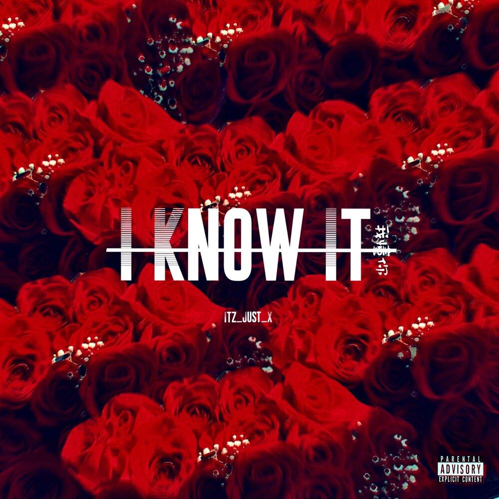 Eleaf ijust start. Just me x. Ijust x. Eleaf ijust 3 pro. I just x.