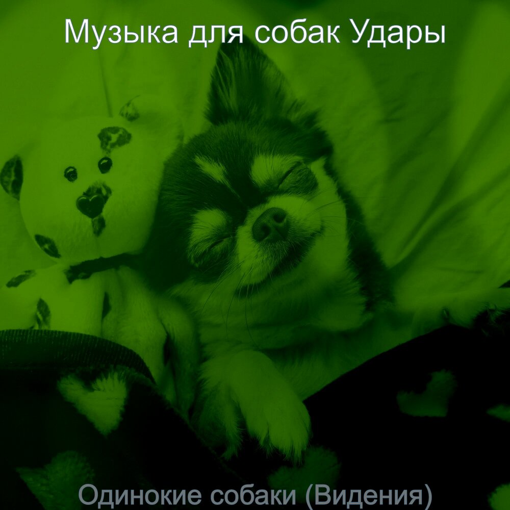 Включи песню dog. Одинокий пёс песня.