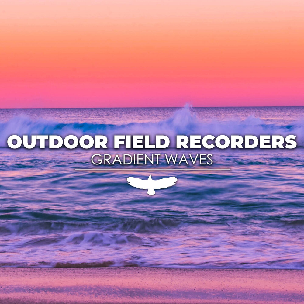 Record field