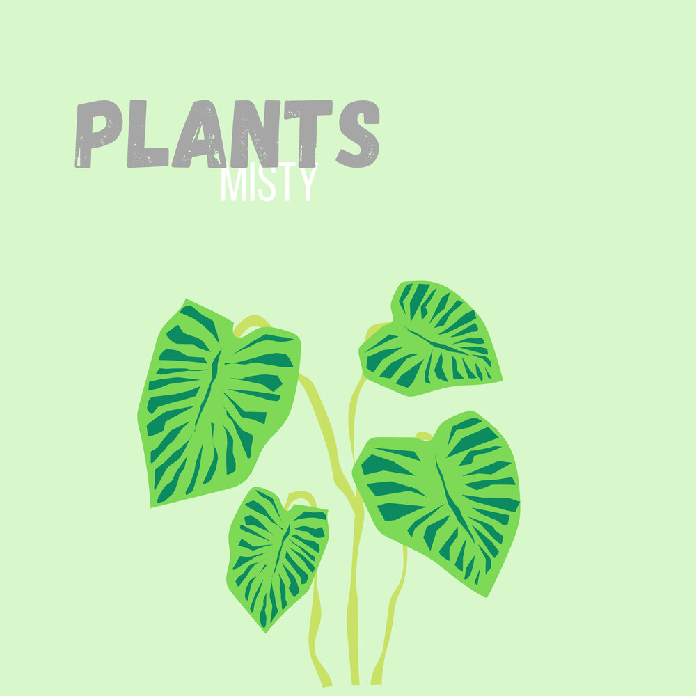 Plants слушать. Spotify Plants album.