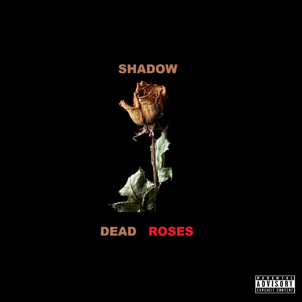 Dead roses